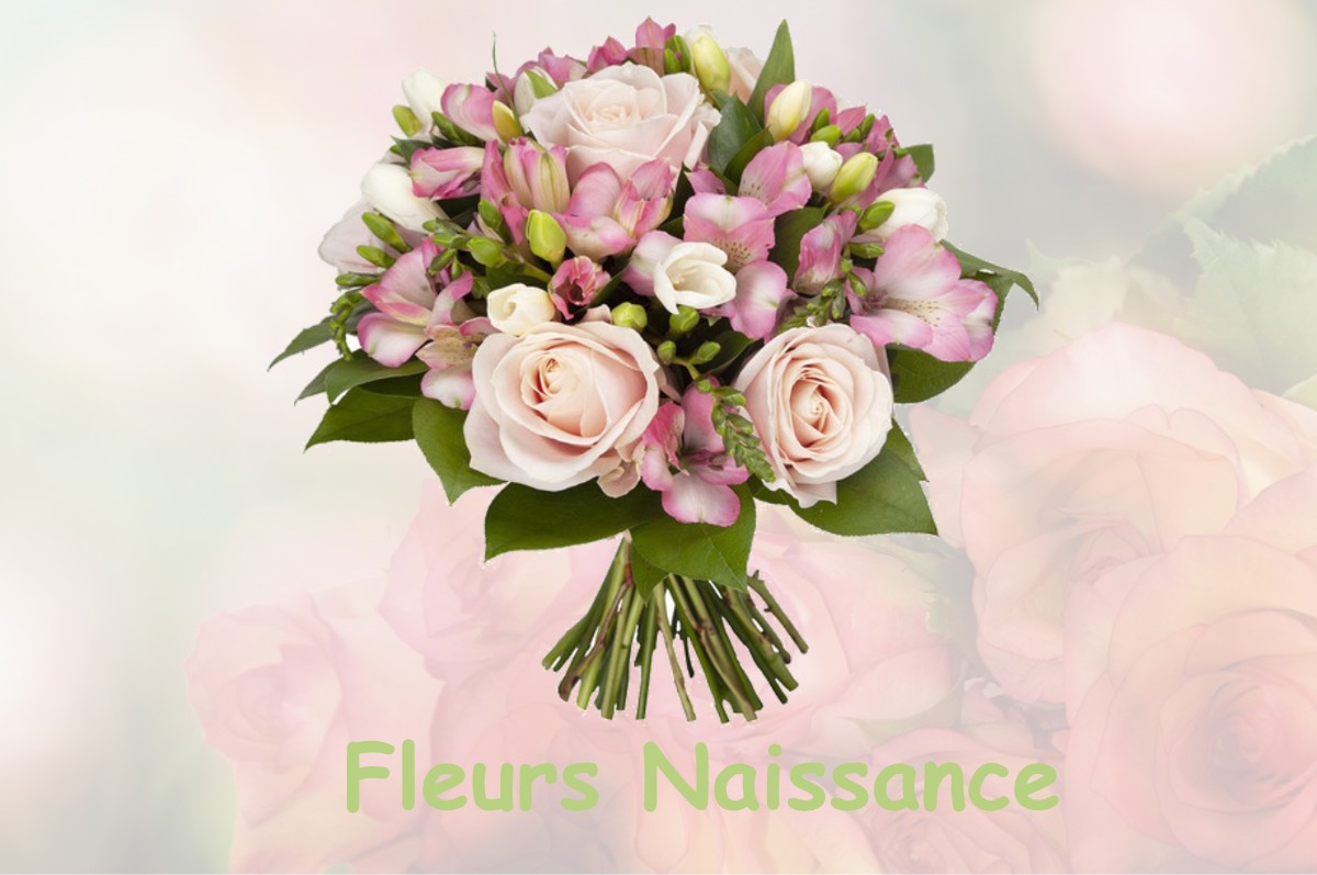 fleurs naissance PARIGNY-LA-ROSE